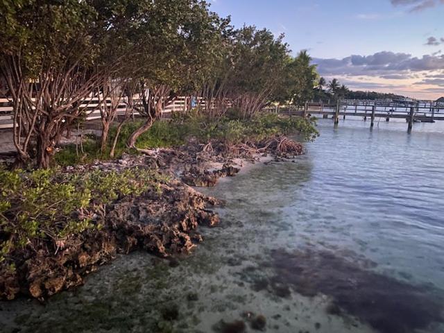 Bahia Bay Resort Key Largo Exterior foto